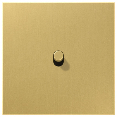 Центральная плата, 1 пост, 1 тумблер, цилиндр металлическое исполнение латунь классик серия LS Jung ME12-0CR25