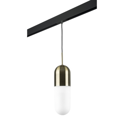 Трековый светильник Lightstar Ramo PRO690111 (690111+595007)