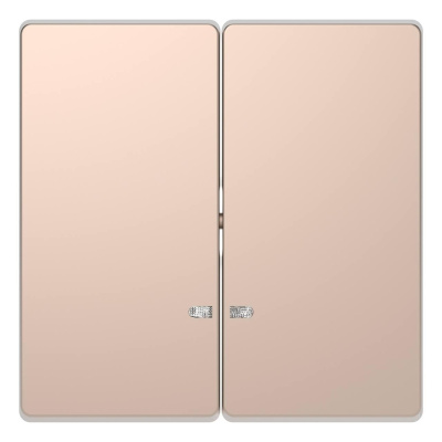 Клавиша двойная Schneider Electric Merten D-Life MTN3420-6051