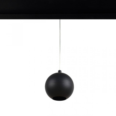 Трековый светильник Loft IT Tech T024-06P