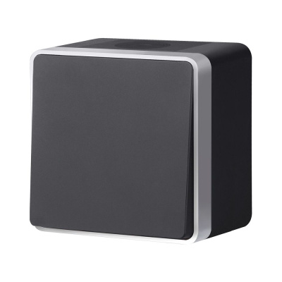 Выключатель одноклавишный влагозащищенный Werkel Gallant (черный с серебром) W5010234 4690389164033 a051164