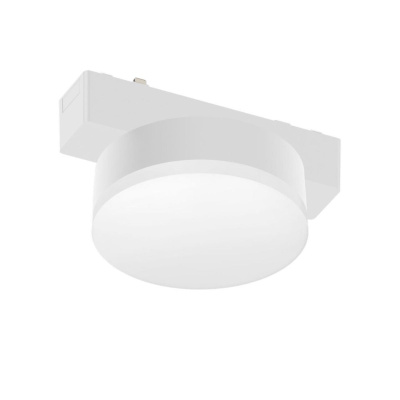 Трековый магнитный светильник Aployt Magnetic track 48 APL.0128.10.09