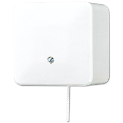 Выключатель шнуровой Jung 606ZAWW