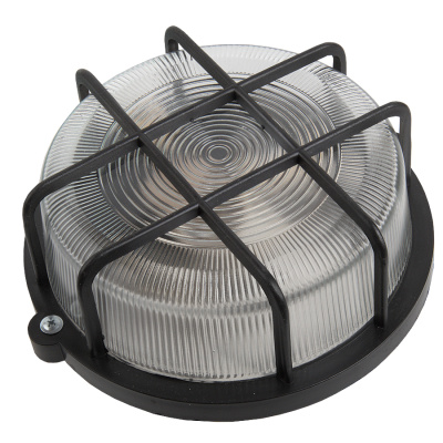 Настенно-потолочный светильник General НПП 03-100-005.04 437850