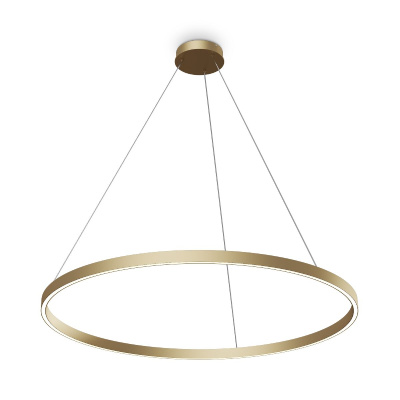 Подвесной светильник Maytoni Rim MOD058PL-L54BSK