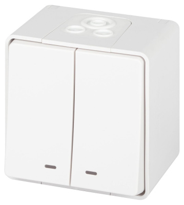 Выключатель двойной с подсветкой Эра Elegance Эксперт 11-1505-01 Б0063282