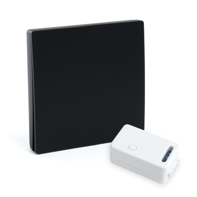 Выключатель одноклавишный беспроводной с радиочастотным контроллером Feron TM181 230V 500W 50507