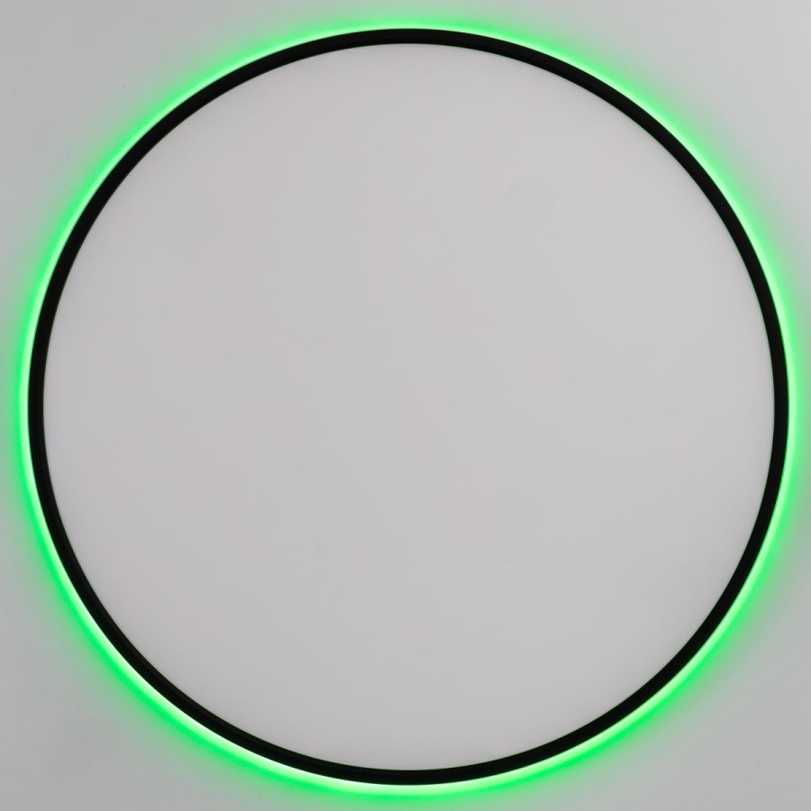 Потолочный светильник Citilux Norma CL749601