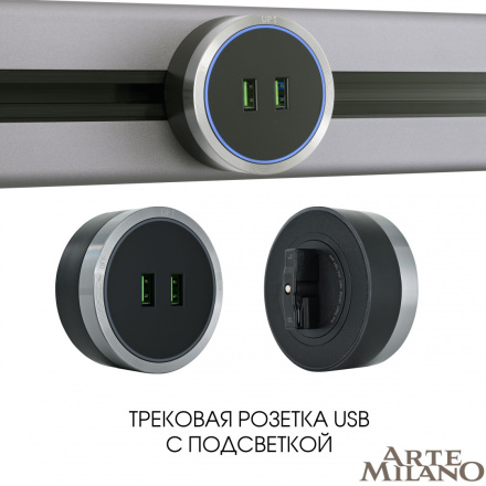 Трековая розетка Arte Milano Am-track-sockets 380066TS LED/USBx2 Grey