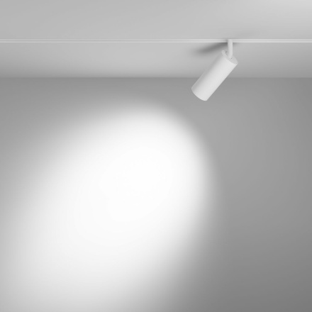 Трековый магнитный светильник Maytoni Focus LED TR032-4-12WTW-S-DD-W