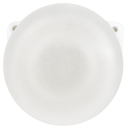 Настенно-потолочный светильник Эра НББ 02-60-002 Б0064018