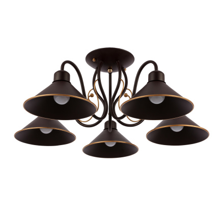 Потолочный светильник EVOLUCE CIOLLA SLE120402-05