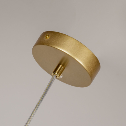 Подвесная люстра Favourite Carina 4059-4P