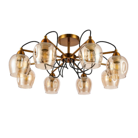 Потолочный светильник EVOLUCE ACRO SLE110002-08