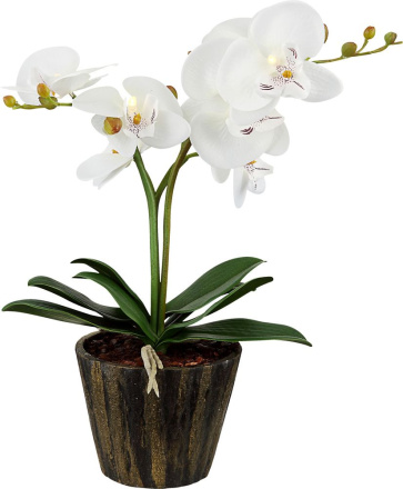 Настольная лампа Globo Flowerpower 28002