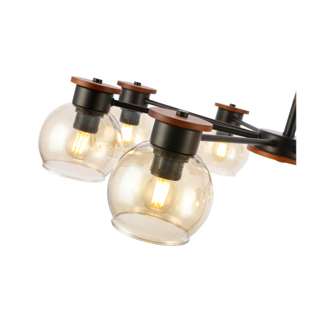 Потолочный светильник EVOLUCE RASCO SLE108102-08