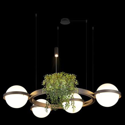Подвесная люстра Loft IT Jardin 10121/4 Dark grey