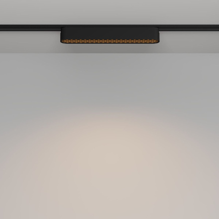 Трековый магнитный светильник Maytoni Basis Grid TR084-1-12W3K-B