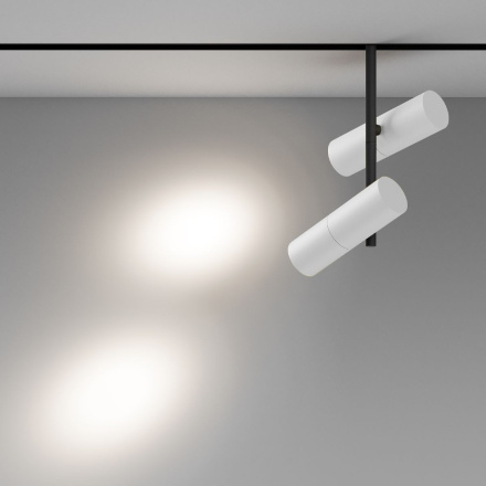 Трековый магнитный светильник Maytoni Elti Duo TR005-4-2X12W-DS-BW