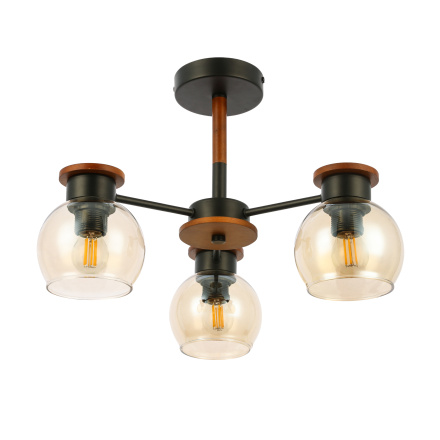 Потолочный светильник EVOLUCE RASCO SLE108102-03