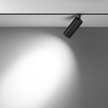 Трековый магнитный светильник Maytoni Focus LED TR032-4-20WTW-S-DD-B