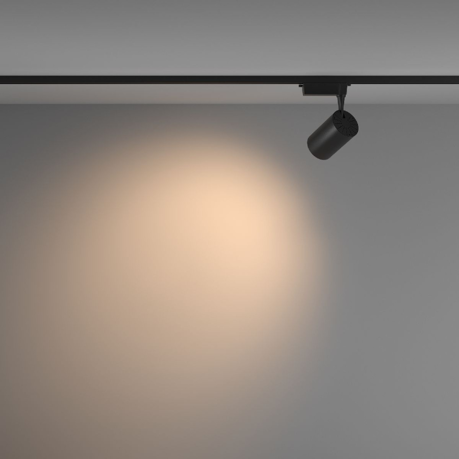 Трековый светильник Maytoni Technical Vuoro TR003-1-26W3K-W-B