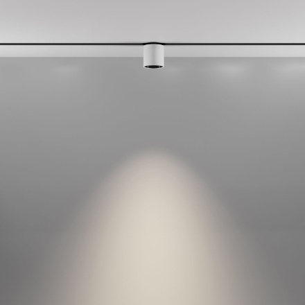 Трековый магнитный светильник Maytoni Alfa S TR132-2-7W4K-W