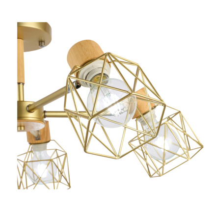 Потолочный светильник EVOLUCE STELITTO SLE110402-05