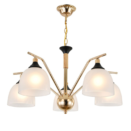 Подвесная люстра Escada Actinidia 2123/5P