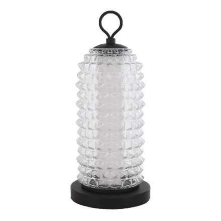 Настольная лампа ST Luce Saguaro SL6144.404.01