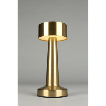 Настольная лампа Aployt Perrayn APL.671.04.01