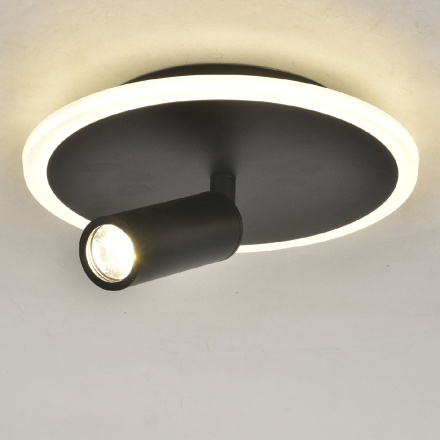 Настенно-потолочный светильник Escada 20046SMA/01LED BK