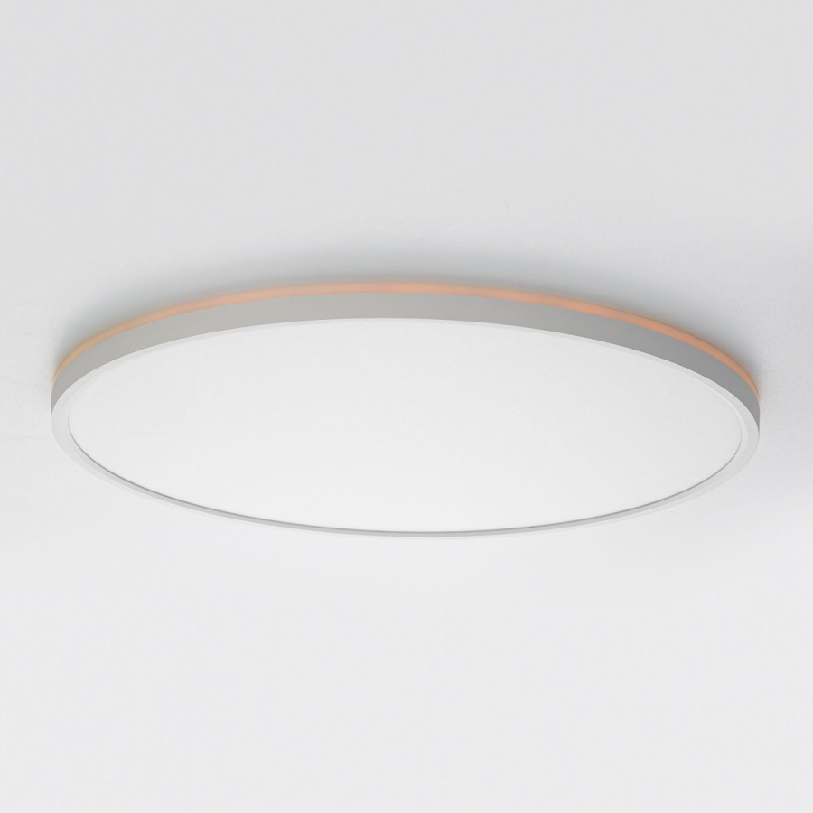 Потолочный светильник Citilux Norma CL749500