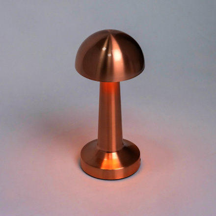 Настольная лампа Escada Evo 10257/L LED